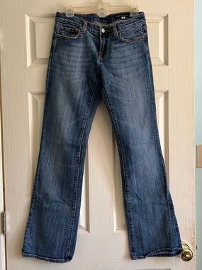 Vigoss Medium Blue Flared Jeans